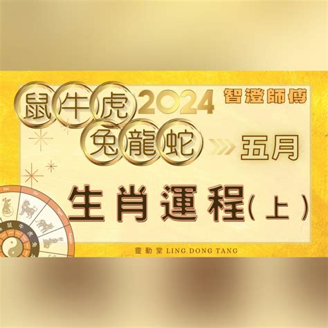 2024 生肖運勢 兔|生肖兔: 性格，愛情，2024運勢，生肖1987，1999，2011